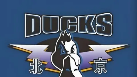 开宝体育，开宝体育官网， 071243 9